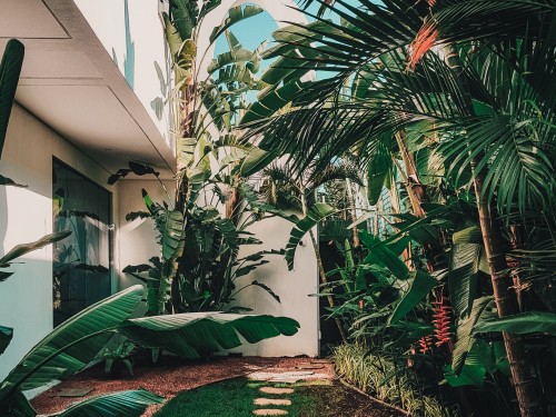 architecture-daylight-flora-2224956